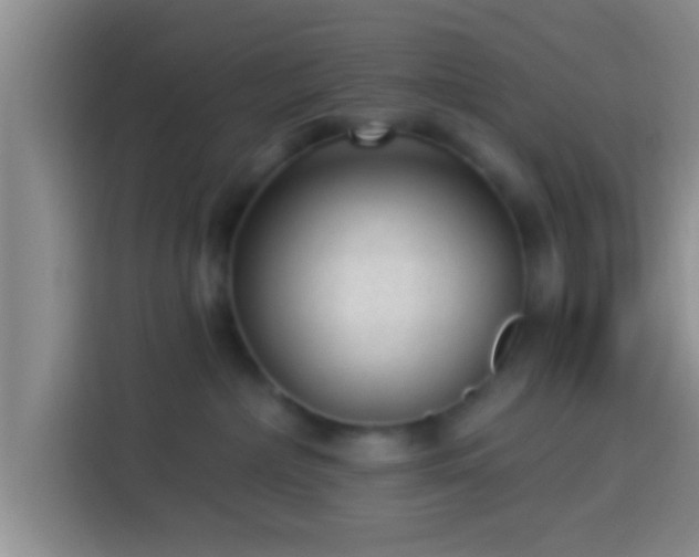 X0000113920236200910011518