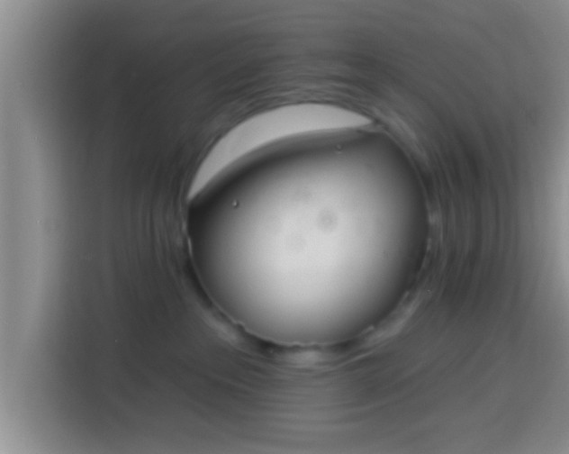 X0000113920237200910011518