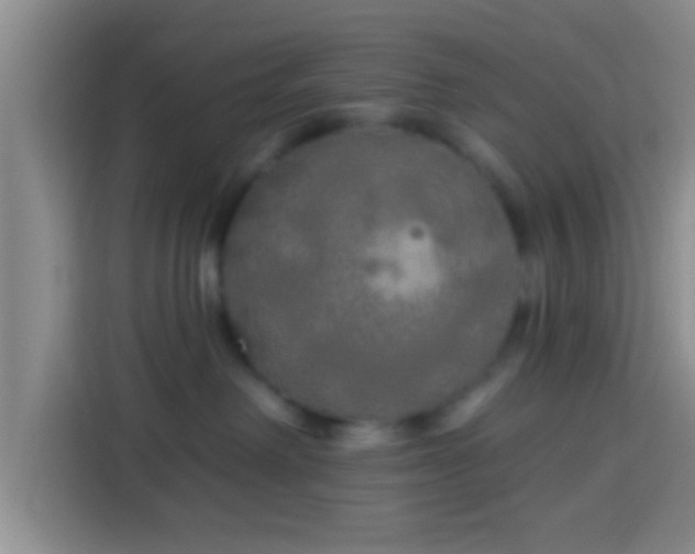 X0000113920238200910011518