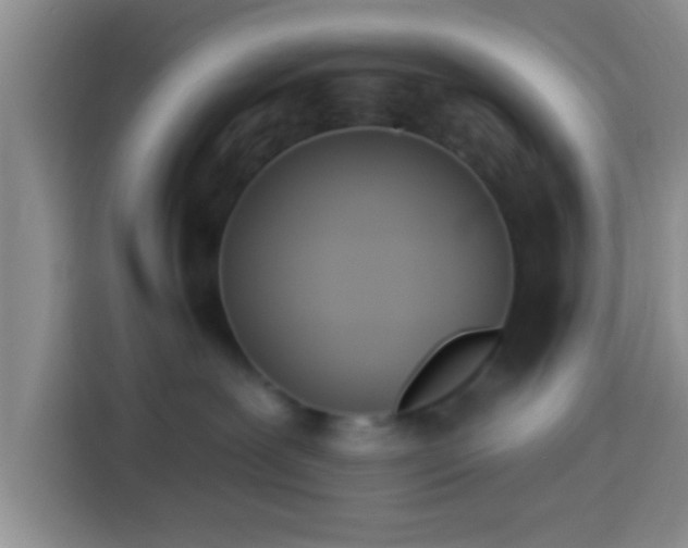 X0000113920239200910011518