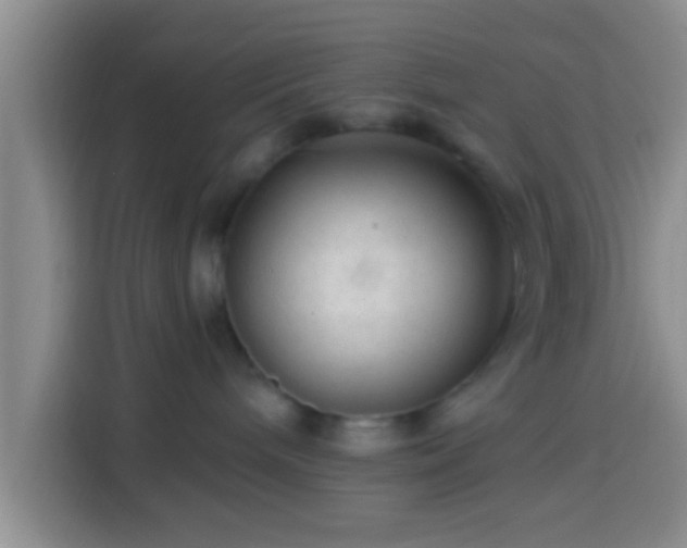 X0000113920240200910011518