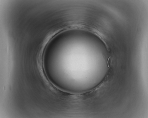 X0000113920241200910011517