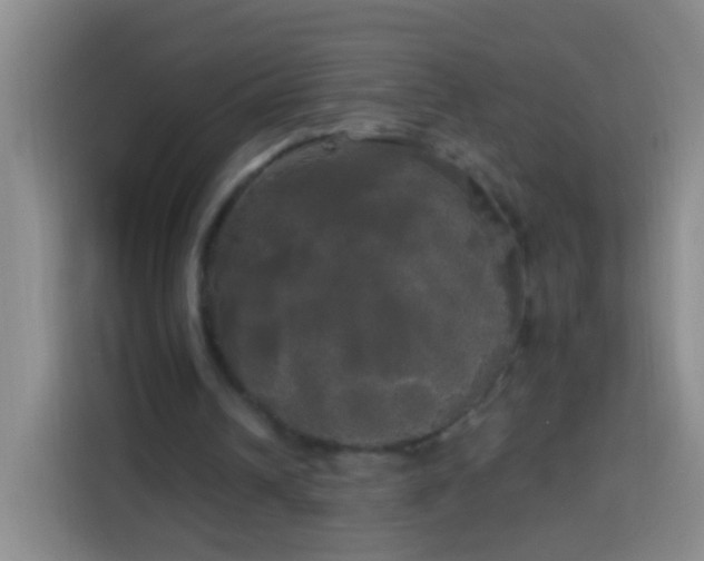 X0000113920242200910011517