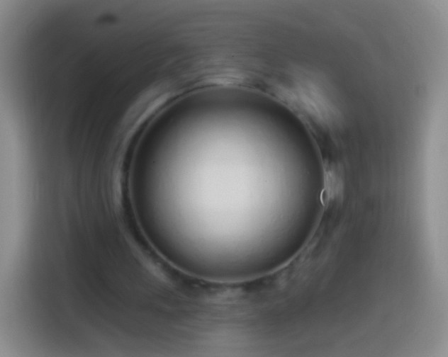 X0000113920243200910011517