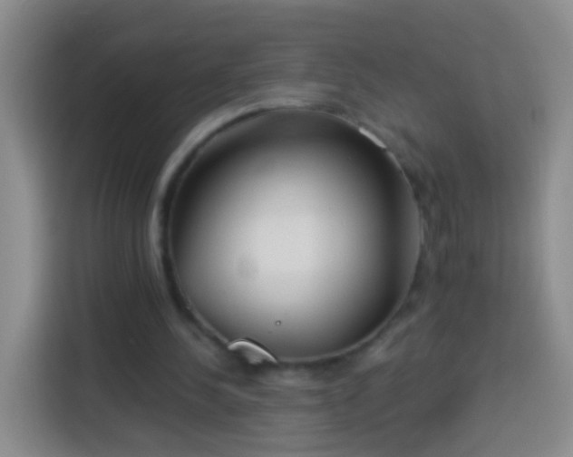 X0000113920244200910011517