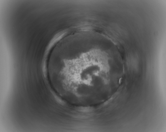 X0000113920245200910011518