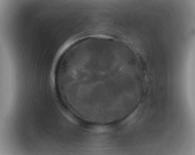 X0000113920246200910011518
