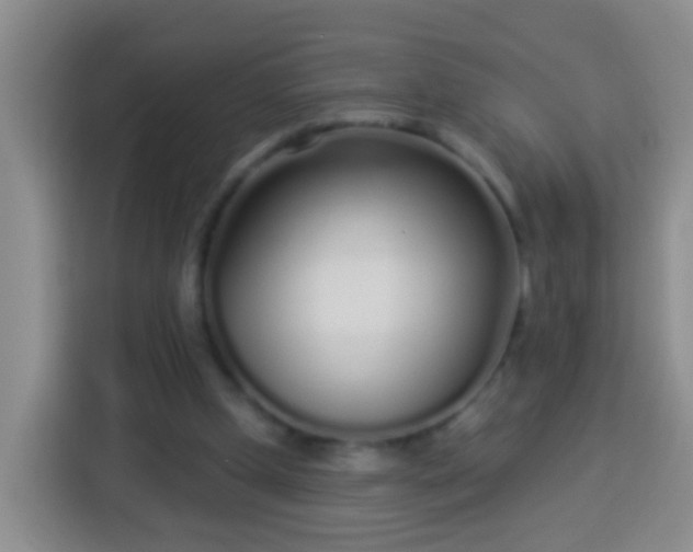 X0000113920249200910011518