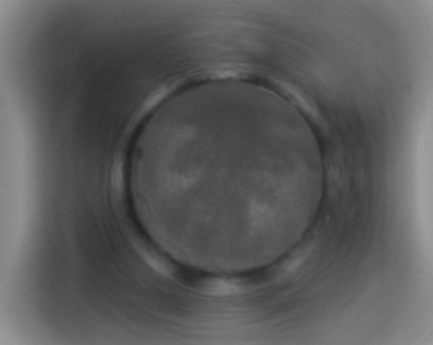 X0000113920250200910011518