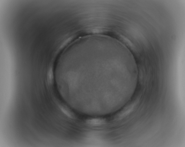 X0000113920251200910011518