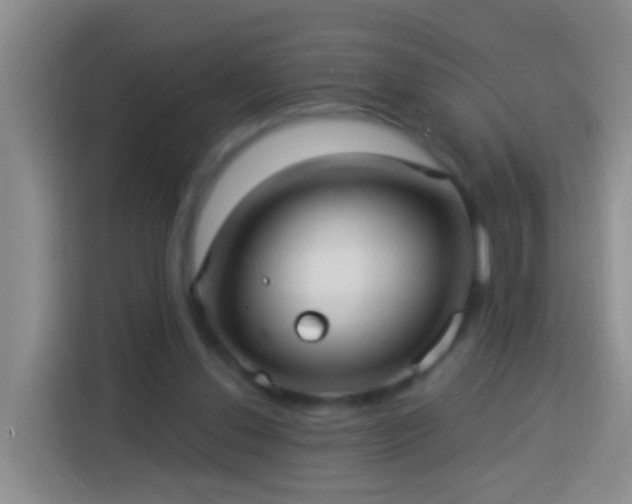 X0000113920252200910011518