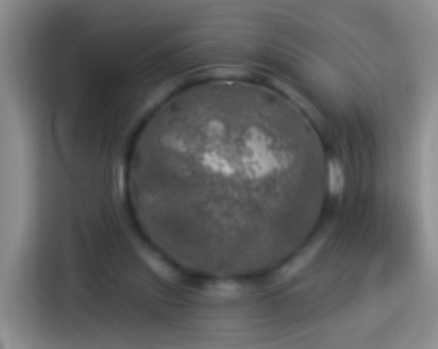 X0000113920253200910011518