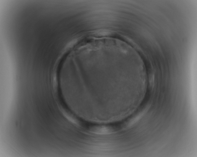 X0000113920254200910011518