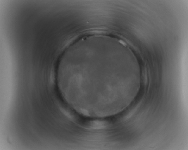 X0000113920255200910011518
