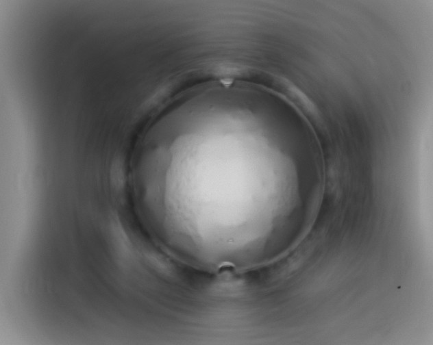 X0000113920257200910011518
