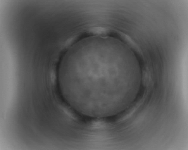 X0000113920259200910011518