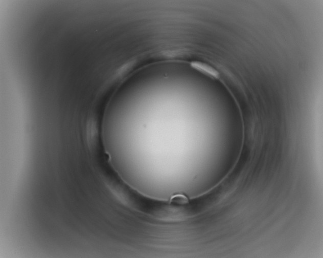 X0000113920260200910011518