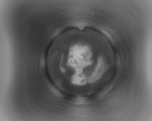 X0000113920261200910011518
