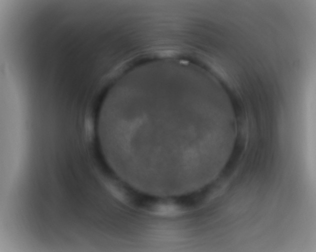 X0000113920262200910011518
