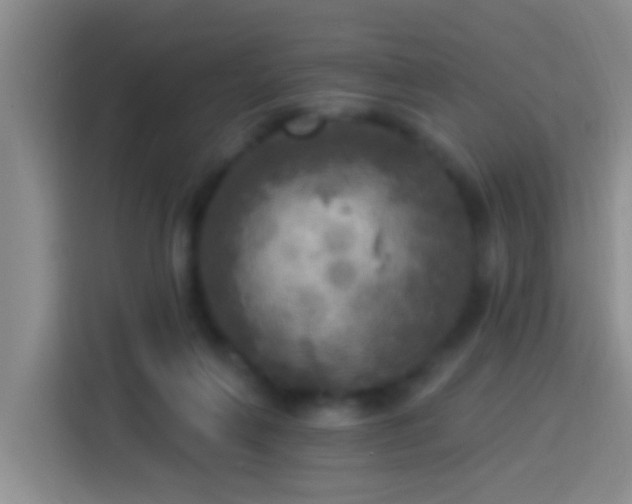 X0000113920263200910011518