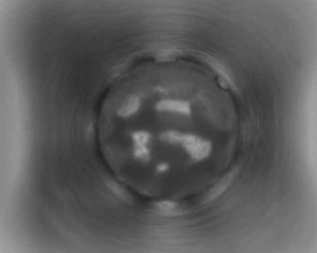 X0000113920265200910011518