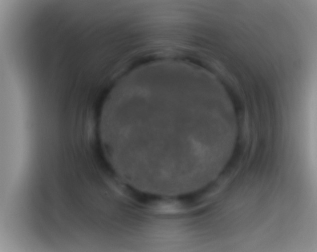 X0000113920266200910011518