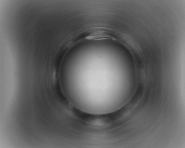 X0000113920267200910011518