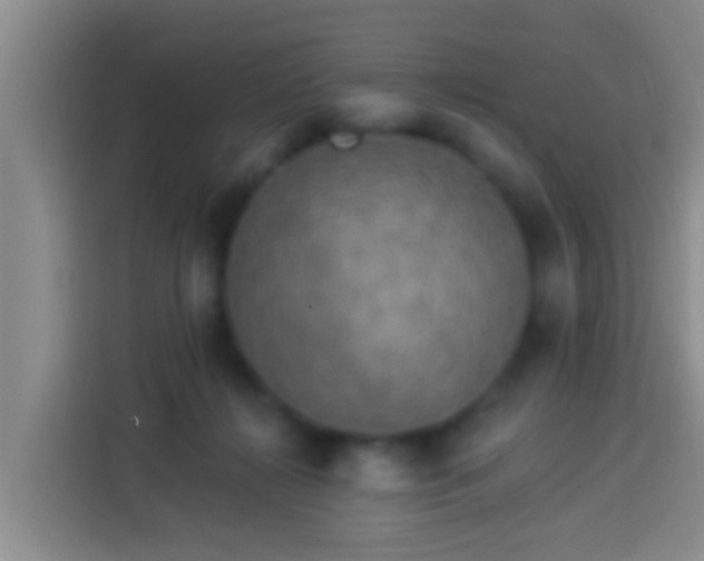 X0000113920268200910011518