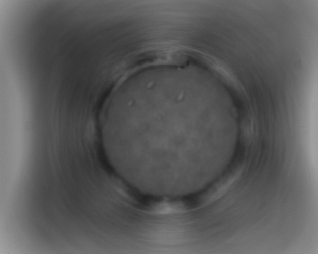X0000113920270200910011518