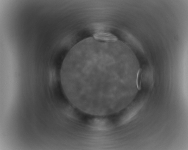 X0000113920272200910011518