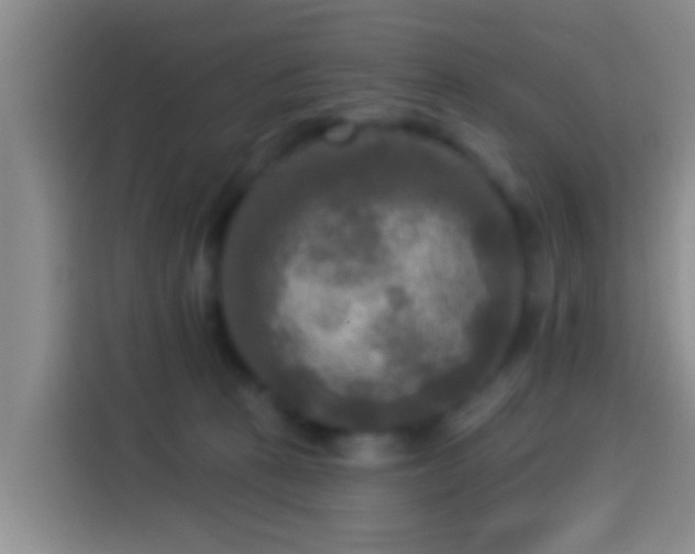 X0000113920273200910011518
