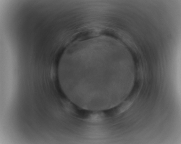 X0000113920274200910011518
