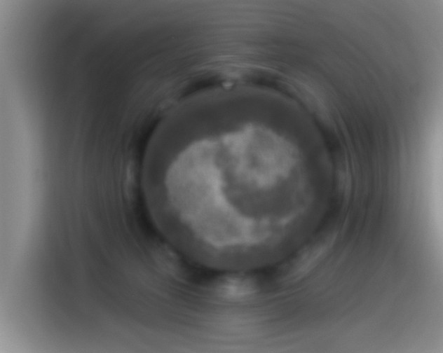 X0000113920275200910011518