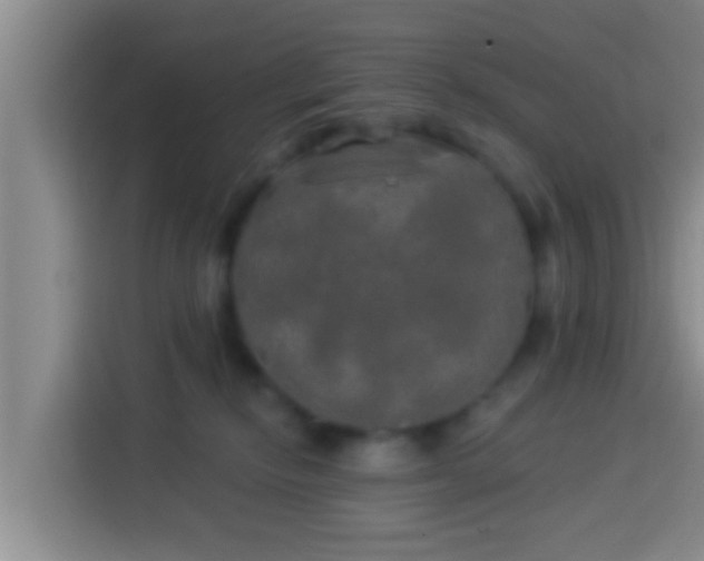 X0000113920278200910011518