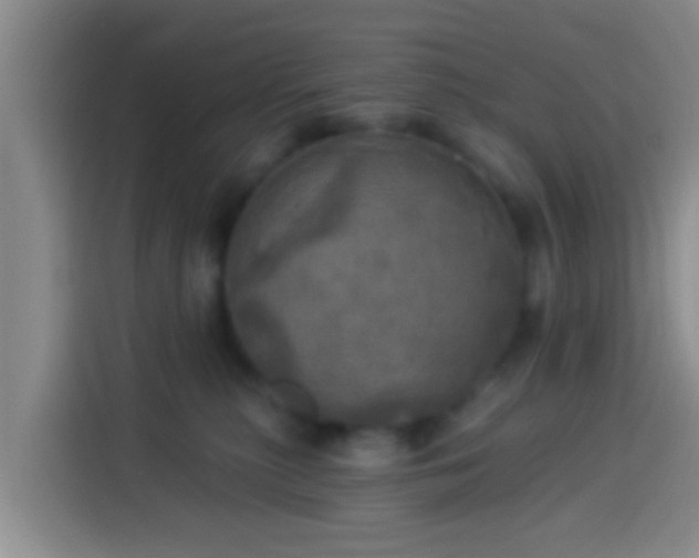 X0000113920279200910011518