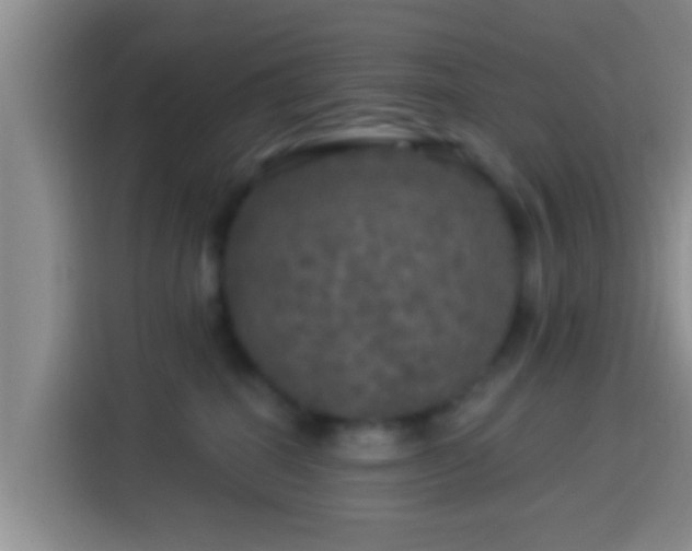 X0000113920282200910011518