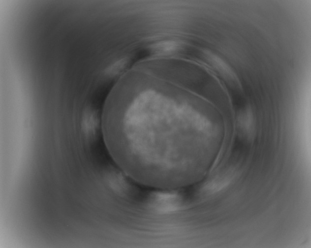 X0000113920284200910011518