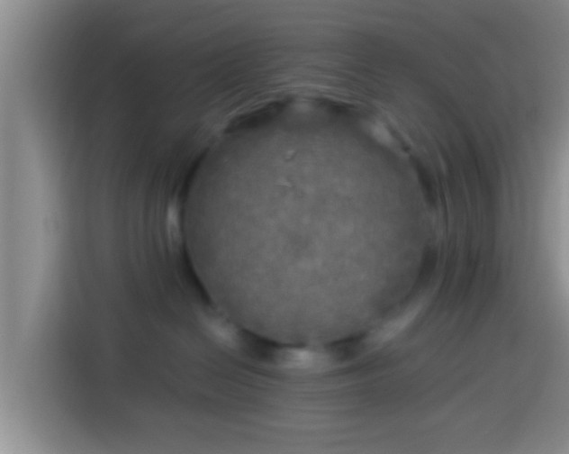 X0000113920286200910011518