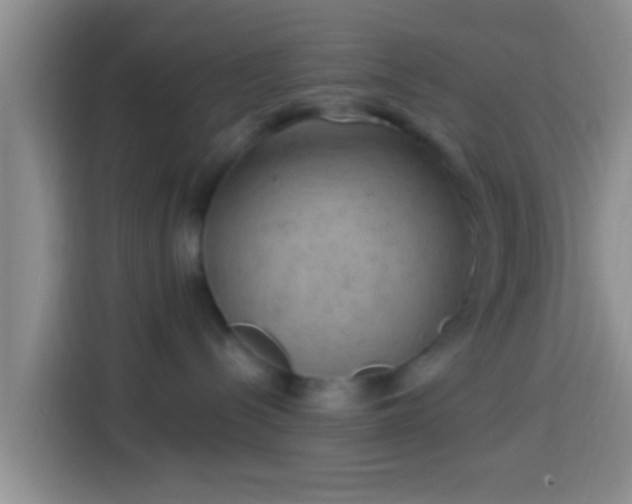 X0000113920288200910011518