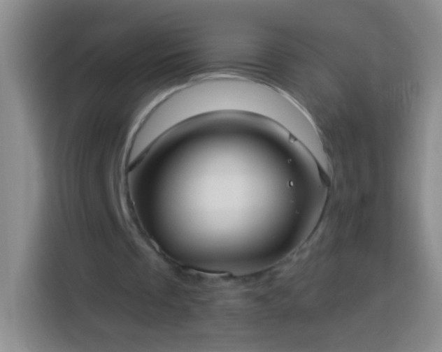 X0000113920289200910011517