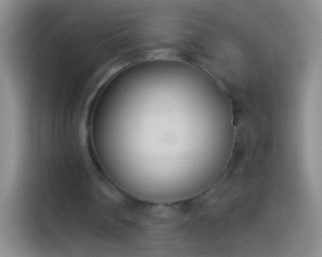 X0000113920290200910011517
