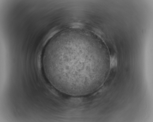 X0000113920291200910011517