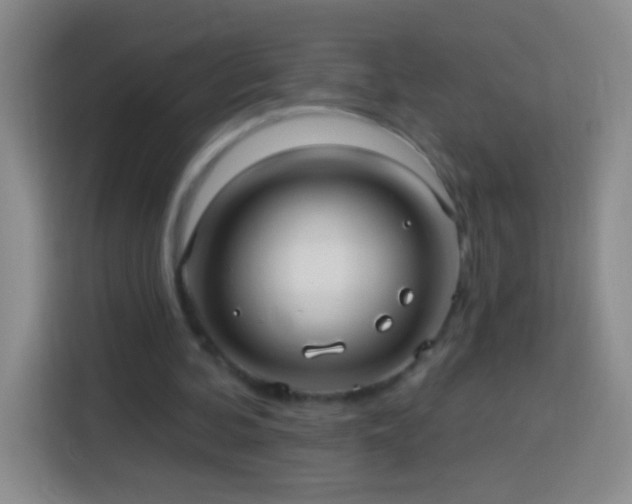 X0000113920292200910011517