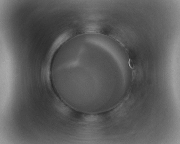 X0000113920293200910011517