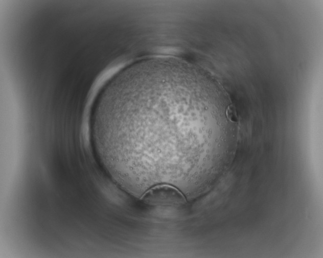 X0000113920294200910011517
