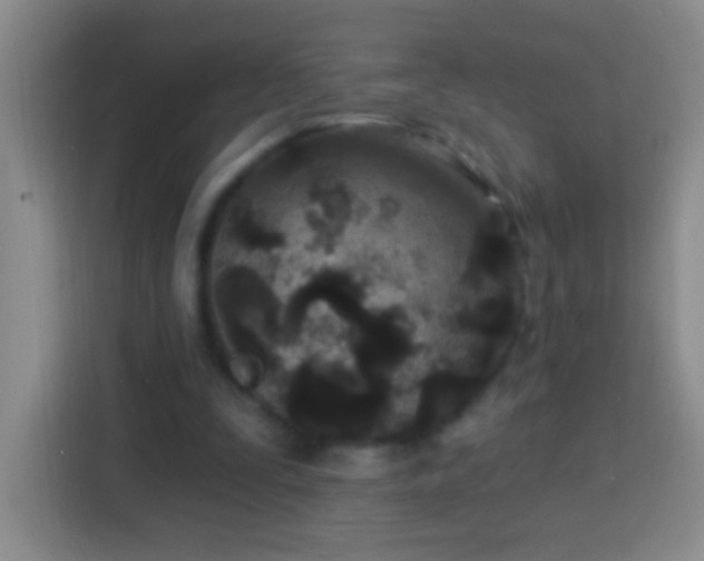 X0000113920295200910011517