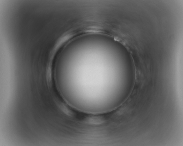 X0000113920296200910011517