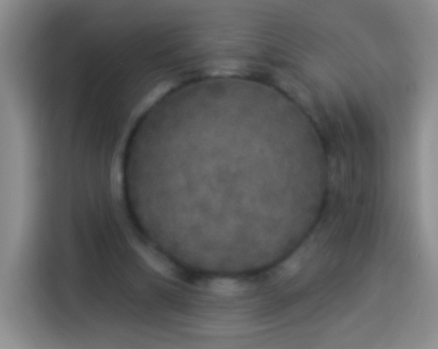 X0000113920298200910011517