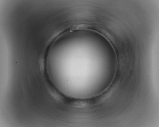 X0000113920299200910011517