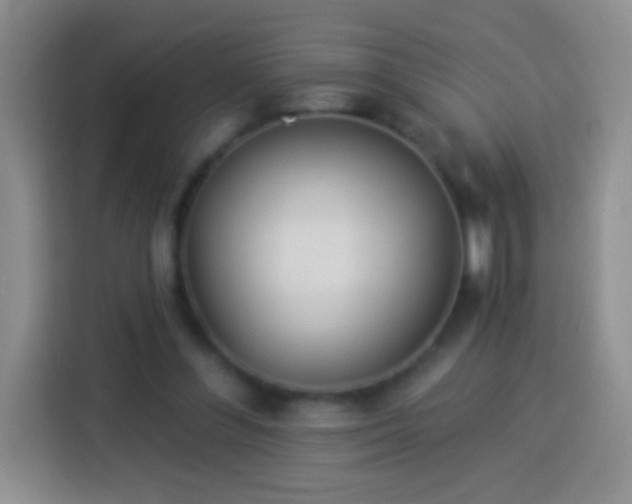 X0000113920300200910011517